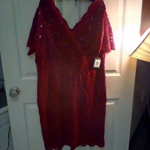 Marina Cranberry lace size 20W (runs small), scallop design